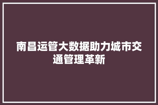 南昌运管大数据助力城市交通管理革新  第1张