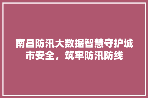 南昌防汛大数据智慧守护城市安全，筑牢防汛防线