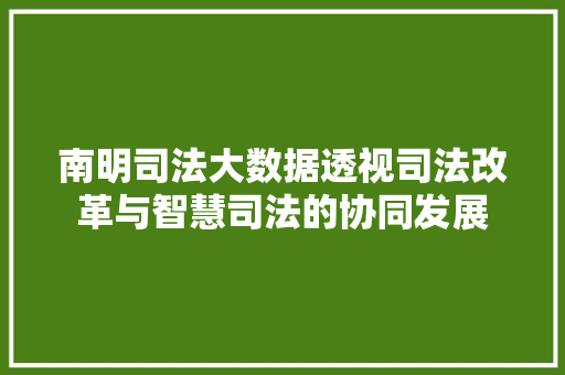 南明司法大数据透视司法改革与智慧司法的协同发展