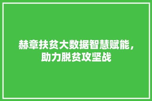 赫章扶贫大数据智慧赋能，助力脱贫攻坚战  第1张