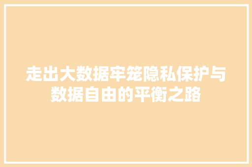 走出大数据牢笼隐私保护与数据自由的平衡之路
