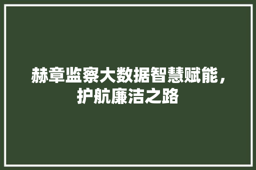 赫章监察大数据智慧赋能，护航廉洁之路  第1张