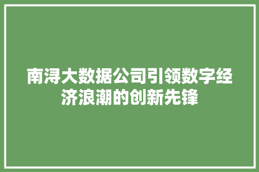 南浔大数据公司引领数字经济浪潮的创新先锋