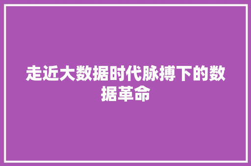走近大数据时代脉搏下的数据革命