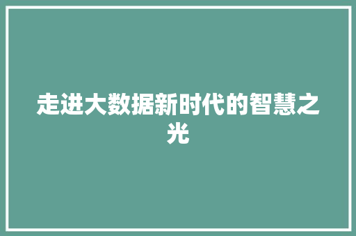 走进大数据新时代的智慧之光