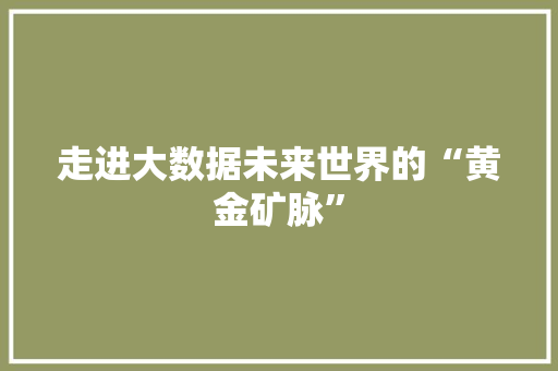 走进大数据未来世界的“黄金矿脉”