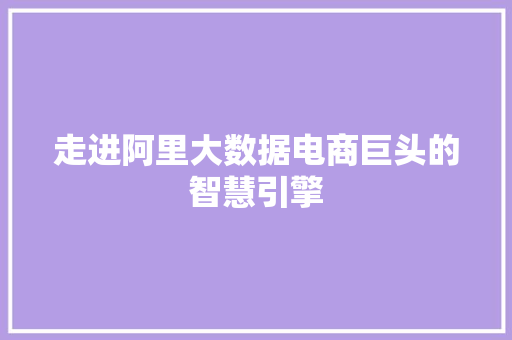 走进阿里大数据电商巨头的智慧引擎  第1张
