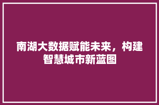 南湖大数据赋能未来，构建智慧城市新蓝图  第1张