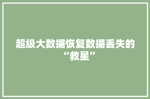 超级大数据恢复数据丢失的“救星”
