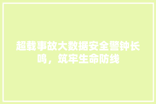 超载事故大数据安全警钟长鸣，筑牢生命防线