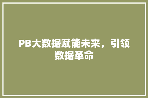 PB大数据赋能未来，引领数据革命