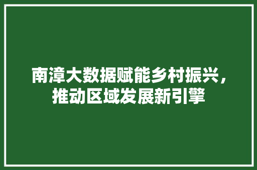南漳大数据赋能乡村振兴，推动区域发展新引擎