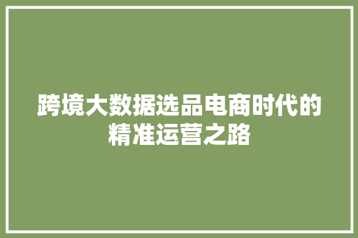 跨境大数据选品电商时代的精准运营之路