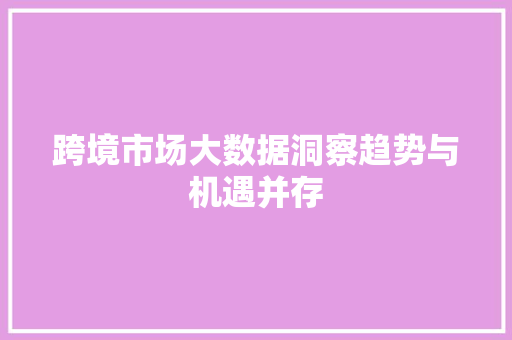 跨境市场大数据洞察趋势与机遇并存