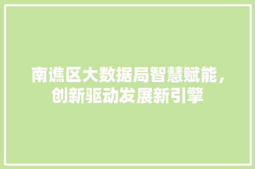 南谯区大数据局智慧赋能，创新驱动发展新引擎