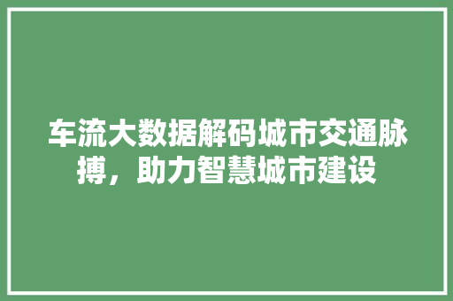 车流大数据解码城市交通脉搏，助力智慧城市建设