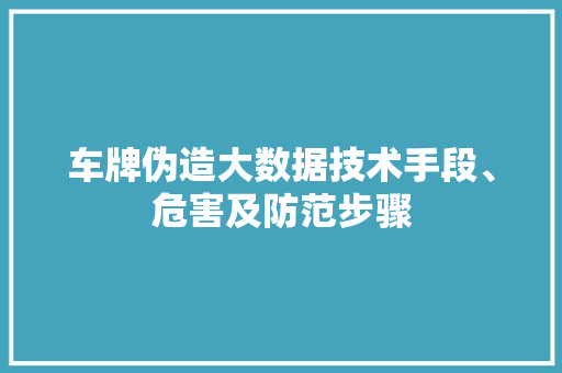 车牌伪造大数据技术手段、危害及防范步骤