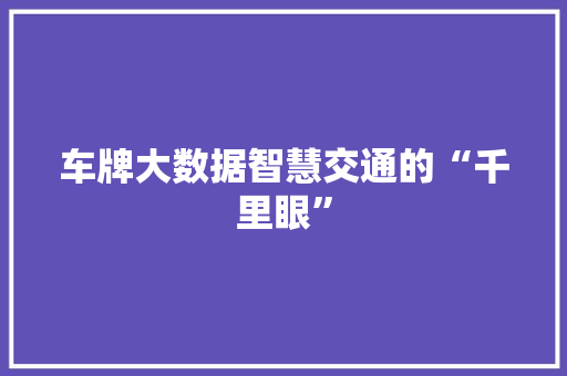 车牌大数据智慧交通的“千里眼”