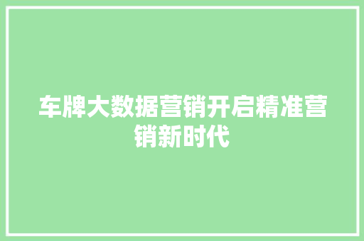 车牌大数据营销开启精准营销新时代