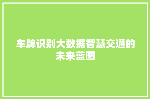 车牌识别大数据智慧交通的未来蓝图