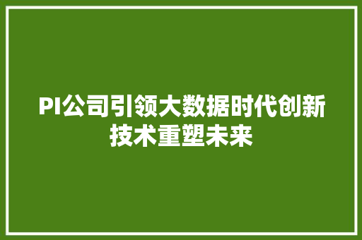 PI公司引领大数据时代创新技术重塑未来