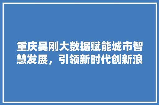 重庆吴刚大数据赋能城市智慧发展，引领新时代创新浪潮  第1张