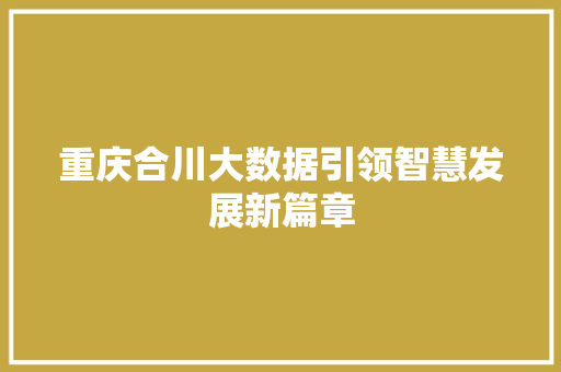 重庆合川大数据引领智慧发展新篇章