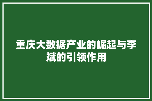 重庆大数据产业的崛起与李斌的引领作用