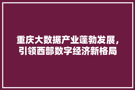 重庆大数据产业蓬勃发展，引领西部数字经济新格局