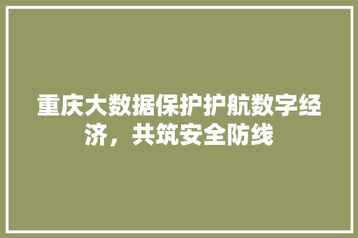 重庆大数据保护护航数字经济，共筑安全防线  第1张