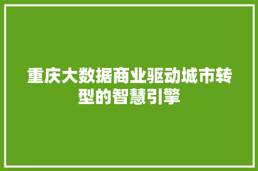 重庆大数据商业驱动城市转型的智慧引擎  第1张