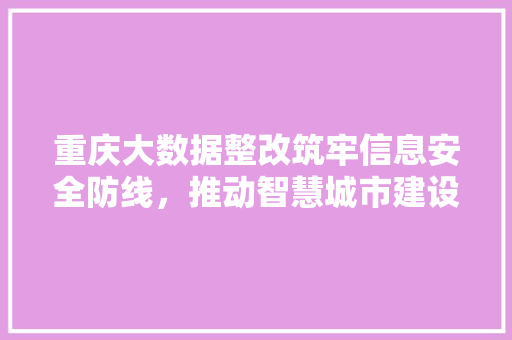 重庆大数据整改筑牢信息安全防线，推动智慧城市建设  第1张