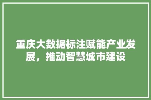 重庆大数据标注赋能产业发展，推动智慧城市建设  第1张