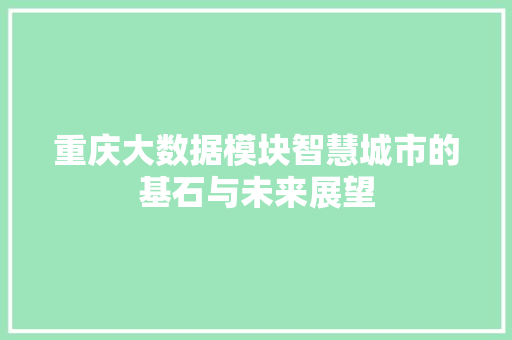 重庆大数据模块智慧城市的基石与未来展望  第1张