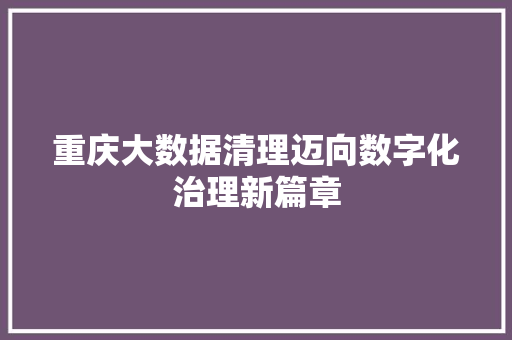 重庆大数据清理迈向数字化治理新篇章