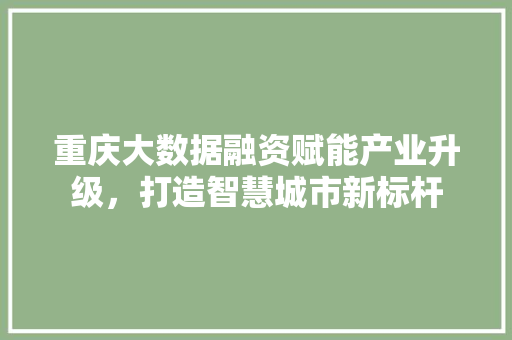 重庆大数据融资赋能产业升级，打造智慧城市新标杆