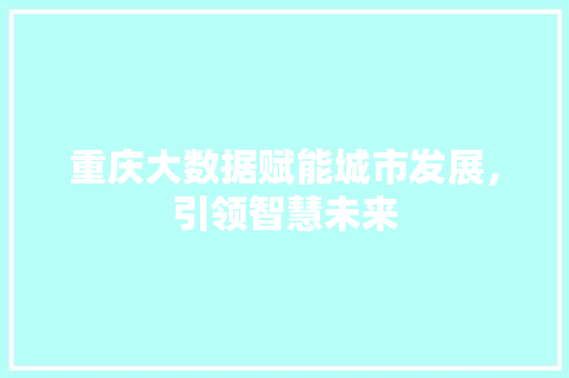 重庆大数据赋能城市发展，引领智慧未来