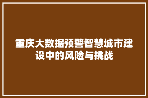 重庆大数据预警智慧城市建设中的风险与挑战