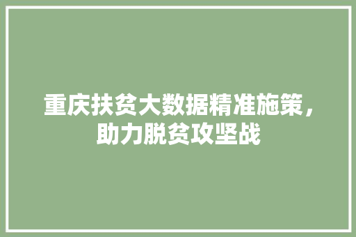 重庆扶贫大数据精准施策，助力脱贫攻坚战
