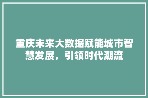 重庆未来大数据赋能城市智慧发展，引领时代潮流