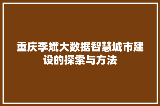 重庆李斌大数据智慧城市建设的探索与方法  第1张