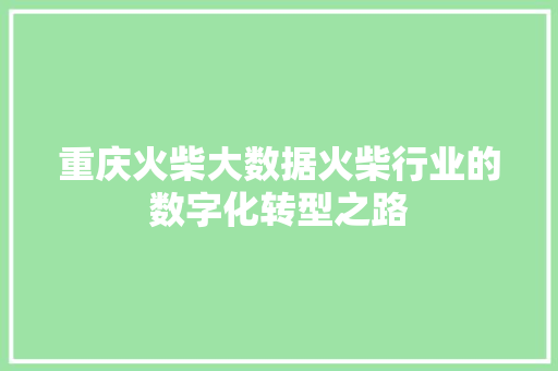 重庆火柴大数据火柴行业的数字化转型之路  第1张