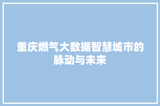 重庆燃气大数据智慧城市的脉动与未来