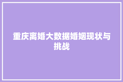 重庆离婚大数据婚姻现状与挑战