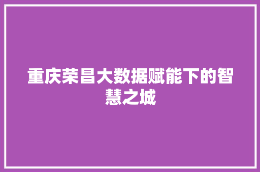 重庆荣昌大数据赋能下的智慧之城  第1张