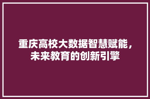重庆高校大数据智慧赋能，未来教育的创新引擎