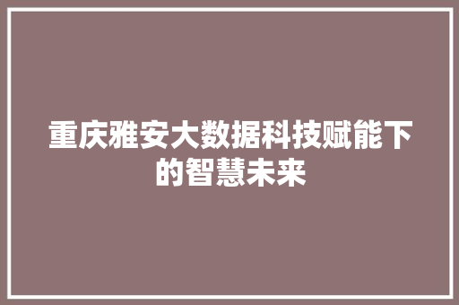 重庆雅安大数据科技赋能下的智慧未来