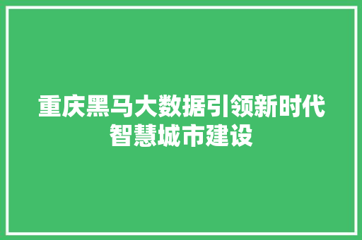 重庆黑马大数据引领新时代智慧城市建设