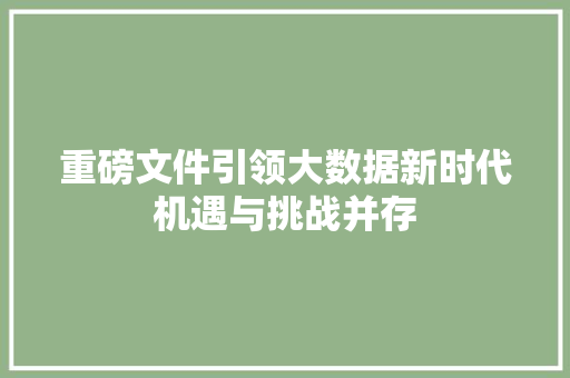 重磅文件引领大数据新时代机遇与挑战并存