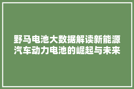 野马电池大数据解读新能源汽车动力电池的崛起与未来